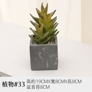 植物道具 33