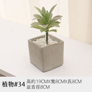 植物道具 34