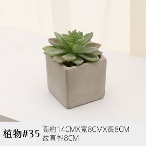 植物道具 35