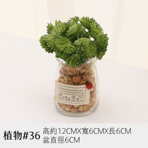 植物道具 36