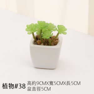 植物道具 38