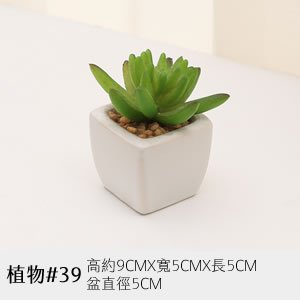 植物道具 39