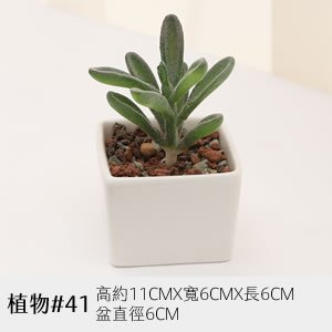 植物道具 41
